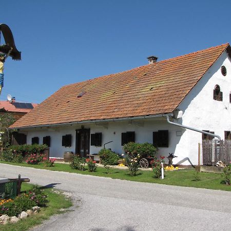 Homestay Kapl Ledinek Екстер'єр фото