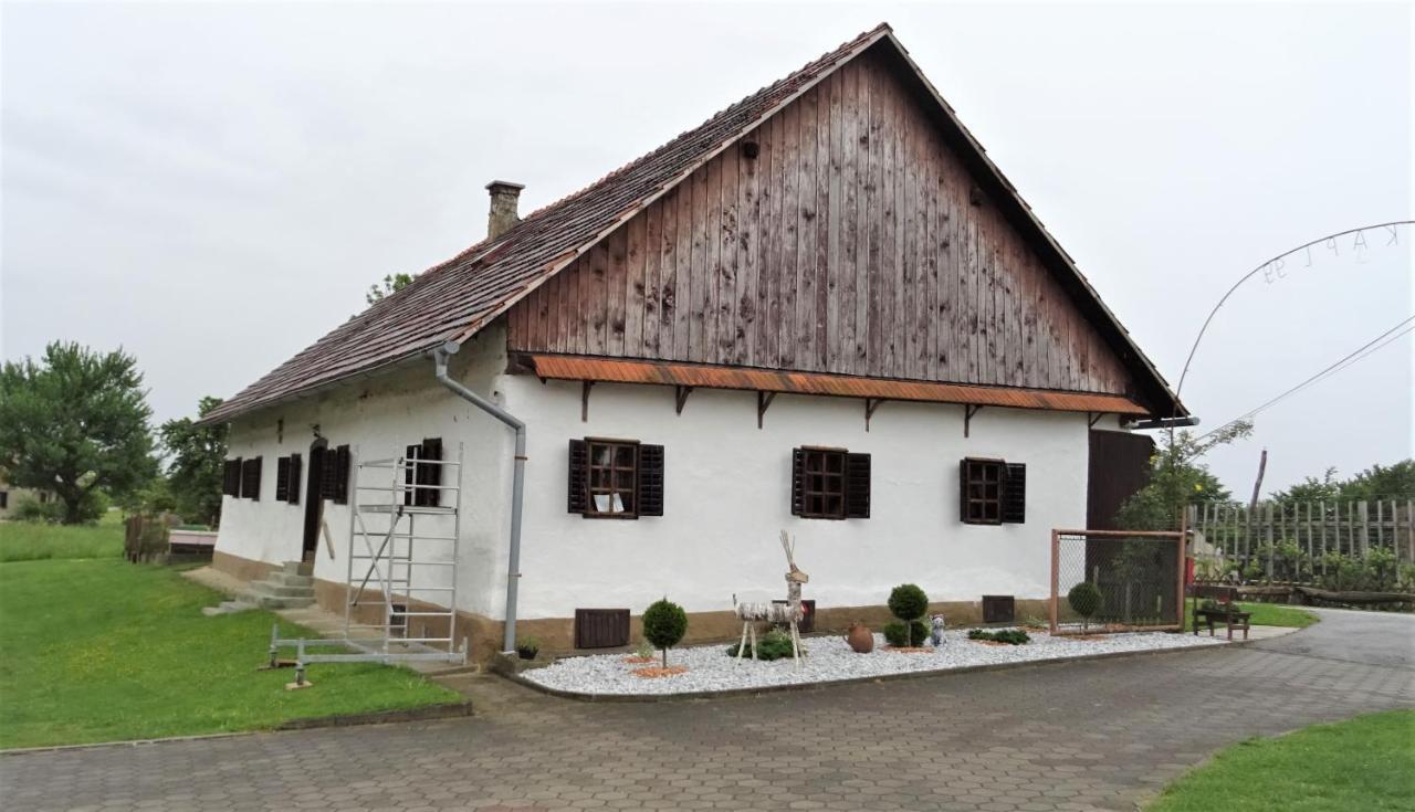 Homestay Kapl Ledinek Екстер'єр фото