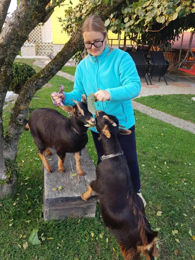Homestay Kapl Ledinek Екстер'єр фото
