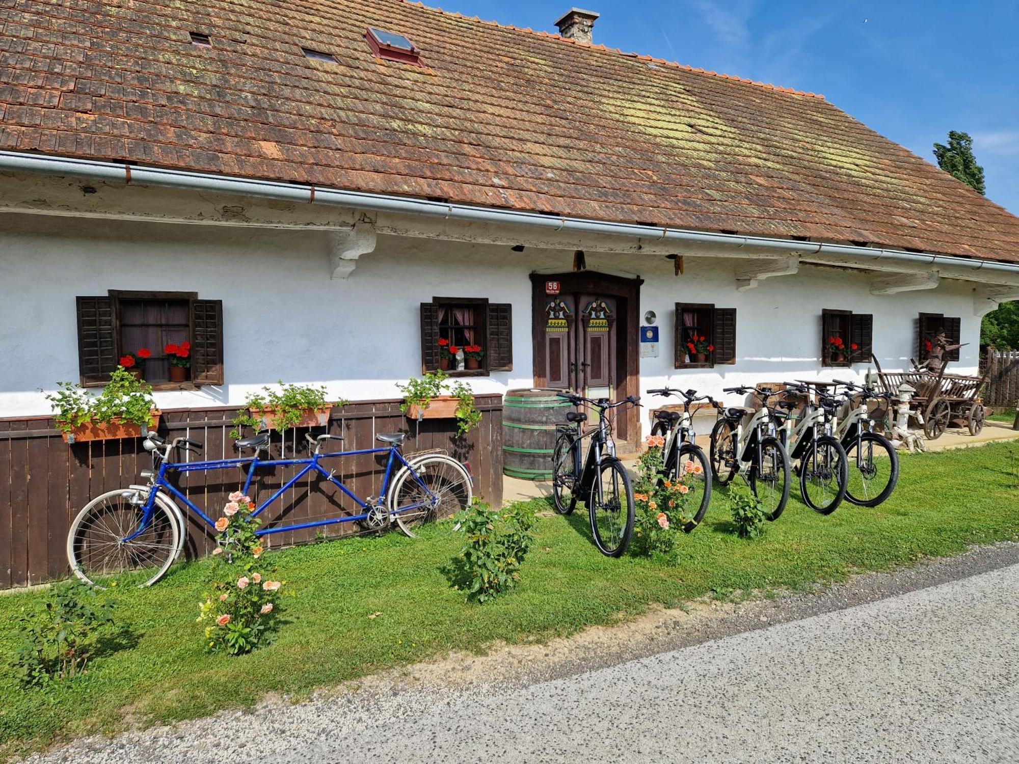 Homestay Kapl Ledinek Екстер'єр фото