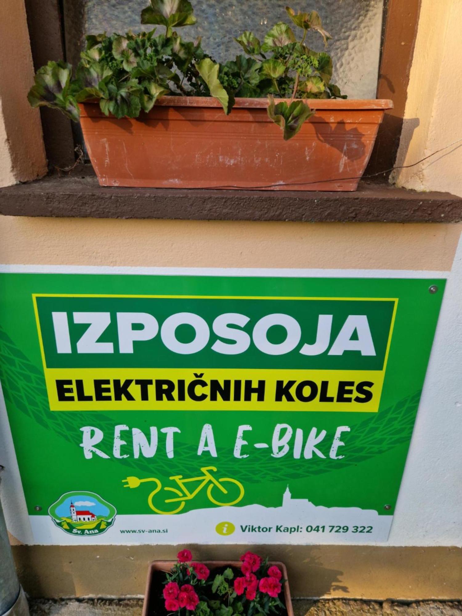 Homestay Kapl Ledinek Екстер'єр фото