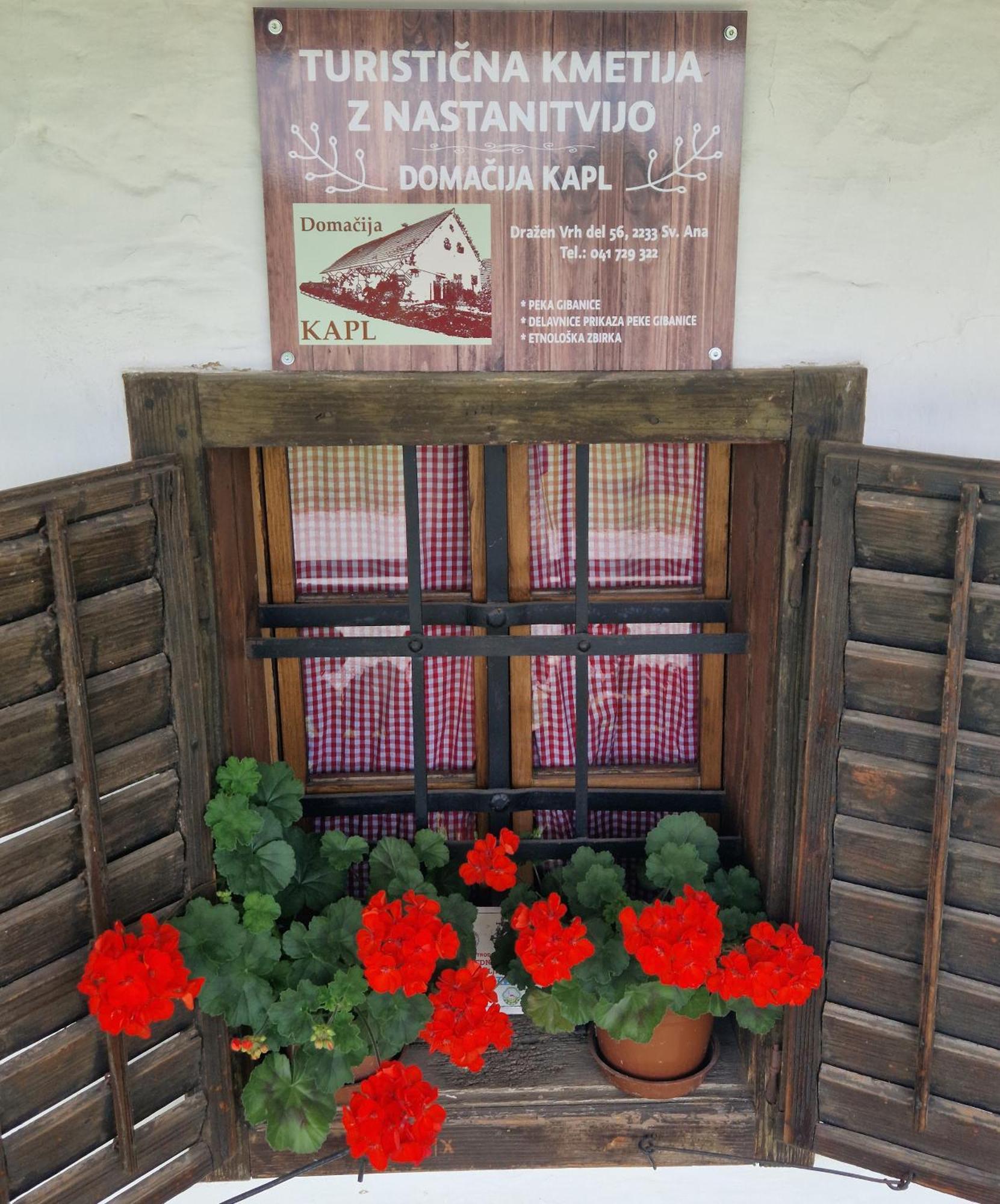 Homestay Kapl Ledinek Екстер'єр фото